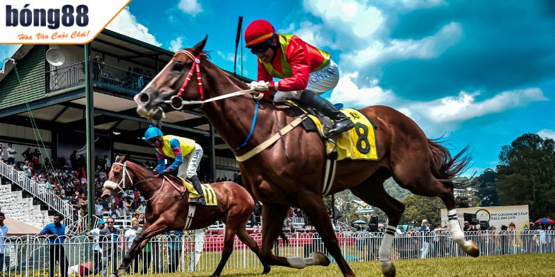 Hiểu về thông tin có trong cá cược đua ngựa