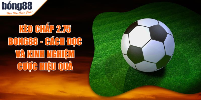Kèo Chấp 2.75 BONG88 - Cách Đọc Và Kinh Nghiệm Cược Hiệu Quả